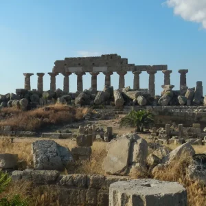 Arriva l’olio ricavato dagli uliveti monumentali del Parco Archeologico di Selinunte