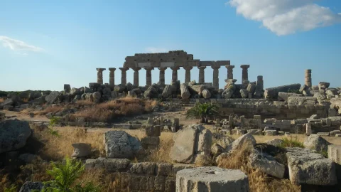 Selinunte Arkeoloji Parkı'nın anıtsal zeytinliklerinden elde edilen yağ geliyor