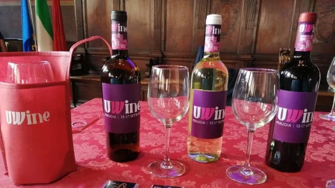 UWine: vini dell’Umbria in vetrina a Perugia, fra etichette consolidate e vignaioli emergenti