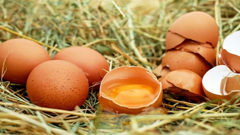 Il Cucurummau, piatto siciliano a base di uova e pomodoro dal nome quasi impronunciabile, ma dalla lunga storia. La ricetta