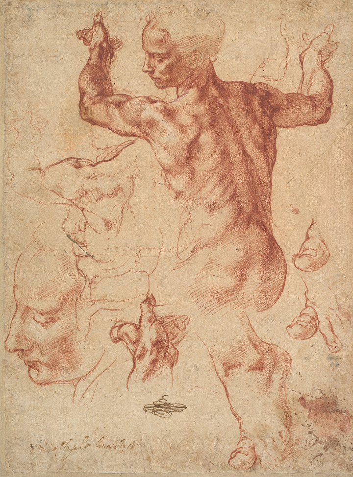 ESTUDOS PARA A SIBILA LÍBIA Michelangelo Buonarroti (Museu Metropolitano)