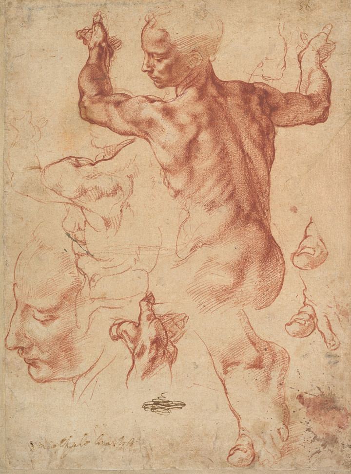 STUDIES FOR THE LIBYAN SIBYL Michelangelo Buonarroti (Metropolitan Museum)