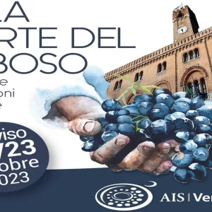 Am Hofe von Raboso: Drei Tage in Treviso, um die Piave-Weine zu entdecken
