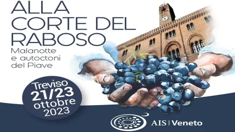 Alla corte del Raboso: a Treviso tre giorni per scoprire i vini del Piave