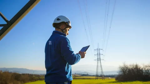 Terna: comienza la asociación con dos startups elegidas para el desafío "Data Science for Resilience"