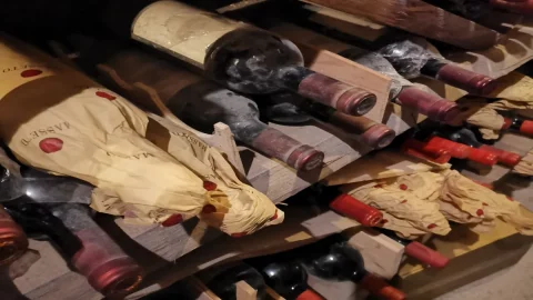 I migliori vini selezionati dalla guida Slow Wine 2024 in degustazione a Milano: 400 etichette di scena