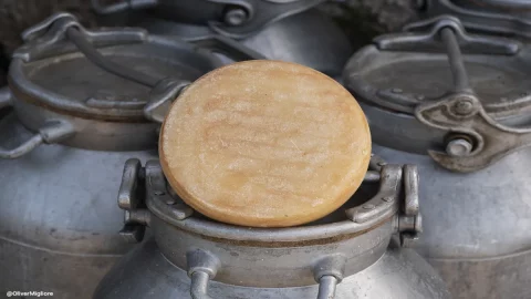 Genazzano-Käse, an den Hängen des Prenestini-Gebirges, ein Slow Food-Präsidium, das die Weiden schützt