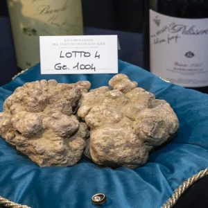 Lelang truffle putih Alba: dua truffle seberat satu kilo dijual kepada pengusaha Hong Kong seharga 130.000 euro