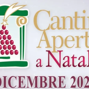 Movimento Turismo del Vino: Cantine Aperte a Natale per brindare e scoprire il territorio