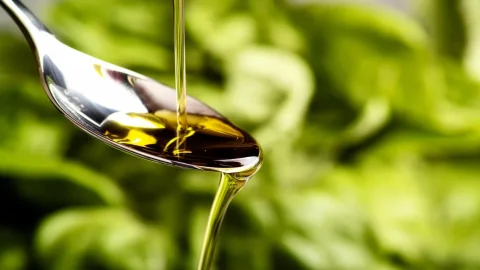 Flos Olei 2024: Abruzzo کا سال کا بہترین Extra Virgin Olive Oil