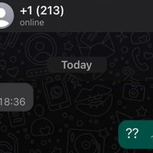 Truffe di Natale: cosa c’è dietro i messaggi WhatsApp di sconosciuti e le chiamate senza risposta