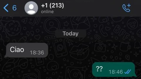 حيل عيد الميلاد: ما وراء رسائل WhatsApp من الغرباء والمكالمات الفائتة