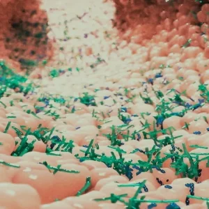 Microbiota intestinal: un diccionario interactivo como un viaje a los misterios y beneficios de nuestro sistema digestivo