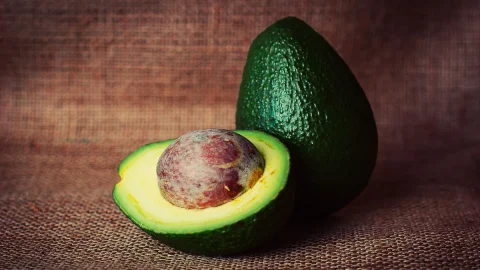 Avocado, healthy fashion has a cost: forest at risk in Mexico