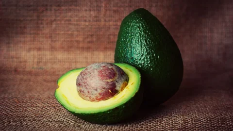 Avocado, la moda healthy ha un costo: foresta a rischio in Messico