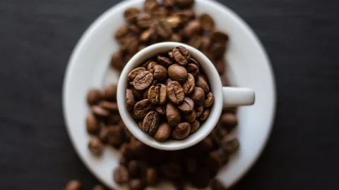Caffè, il clima mette a rischio il rito della tazzina: ecco dati e soluzioni
