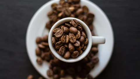 Café, le climat met en péril le rituel de la tasse : voici les données et les solutions