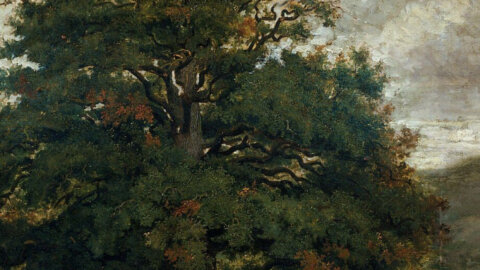 艺术与环境。西奥多·卢梭的艺术：对生态系统脆弱性的谴责（预览）