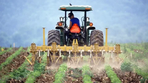 Тим Бразил, главный герой «Сельского хозяйства 4.0» Лулы: в южноамериканской стране уже задействовано 16 миллионов гектаров