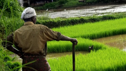 Forconi del pianeta unitevi: esplode anche in India la rivolta del mondo agricolo e Modi va in difficoltà