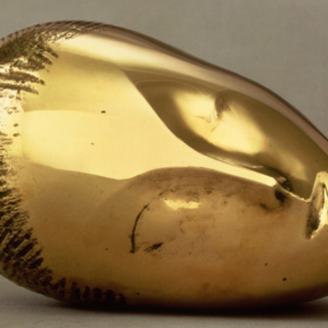 Constantin Brancusi au Centre Pompidou à Paris. Une rétrospective de plus de 200 œuvres