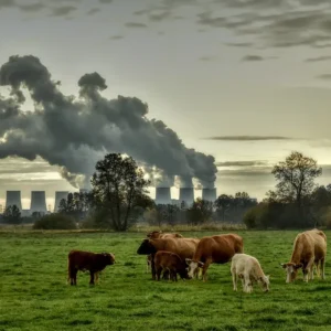 Iklim: kecerdasan buatan untuk menemukan emisi metana. Dan Google akan memberi tahu di mana mereka berada