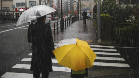 Meteo, inizia la stagione delle piogge: scatta l’allerta rossa, arancione e gialla. Quanto durerà il maltempo?