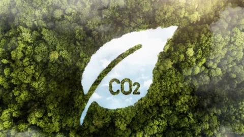 Abbattere le emissioni di CO2