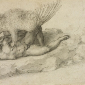 Michelangelo at the British Museum, the great work "Epiphany" and other works on paper exhibited