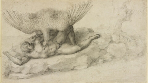 Michelangelo at the British Museum, the great work "Epiphany" and other works on paper exhibited