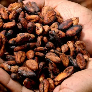 Le cacao est le produit le plus cher de 2024. Et le climat en est responsable