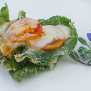 Resep borage parmigiana oleh chef Peppe Zullo benar-benar wajib untuk dicicipi, masakan sehat, dan bernilai autentik