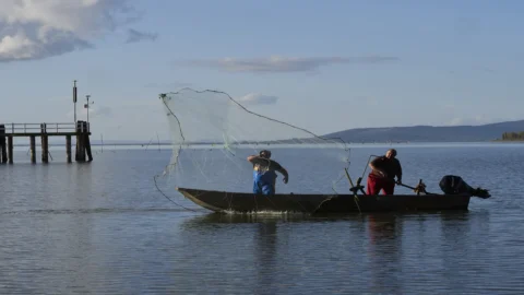 Die passive Fischerei von Trasimeno wird zum Slow Food-Präsidium und zieht junge Generationen von Fischern an