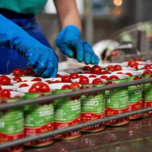 Barattoli di pomodoro in catena di montaggio