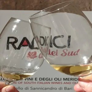 Radici del Sud: في Sannicandro أضواء كاشفة دولية على النبيذ والقصص والفرص والأقاليم في جنوب إيطاليا