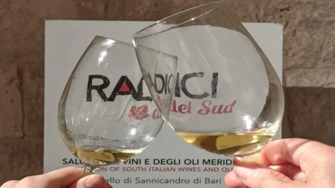 Radici del Sud: di Sannicandro sorotan internasional tentang anggur, cerita, peluang, dan wilayah Italia Selatan