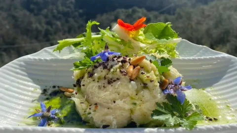 Brandacujun oleh chef Sergio Circella: resep ikan cod krim dari Liguria barat