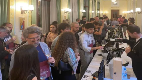 Berebianco: os grandes vinhos brancos para envelhecer são apresentados em Roma