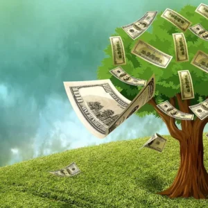 Btp Green, il Tesoro colloca 9 miliardi: avrà scadenza 2037 e un rendimento del 4,104%