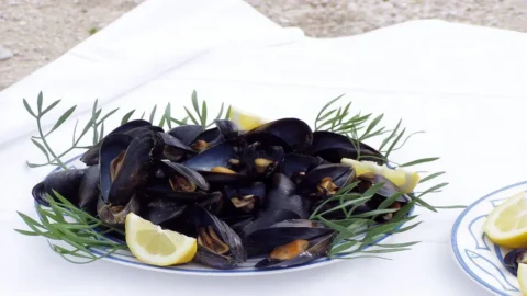 Innalzamento temperature marine: dovremo dire addio al saporito Mosciolo selvatico di Portonovo?