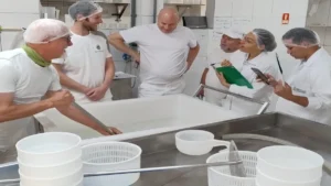scuola formaggi