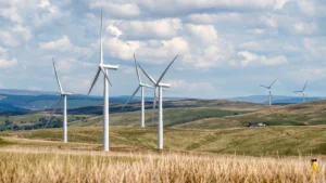 Energia eolica