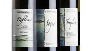 Vino bottiglie