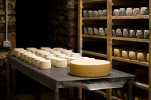 Formaggi di malga