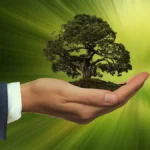 Fs, cresce la spinta green: è nata Fs Energy