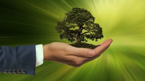 Ambiente: i rischi della transizione ecologica. Il welfare energetico locale, una proposta che fa discutere