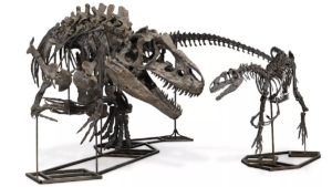 Asta dinosauri