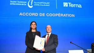 Accordo Terna - Tunisi