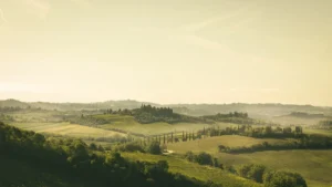 Consorzio Chianti classico