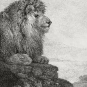 Arte e illustrazione: in asta da Christie’s opere di Maurice Sendak, l’artista che ha affascinato generazioni di lettori